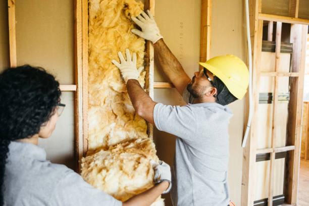 Best Insulation for New Construction  in Ashdown, AR